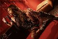 Foto Immagine Jennifer Only Trans Bologna 3384041517 - 10