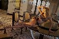 Foto Immagine Rebecca Ferraz Pornostar Trans Roma 3494107593 - 15