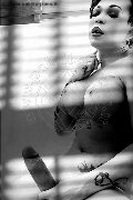 Foto Immagine Hot Dior Trans Treviso 3472825420 - 138