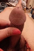 Pordenone Trans Ladyboy Carlina 350 95 76 839 foto selfie 9